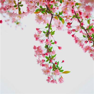 炮火与远征手游最新版(暂未上线)v1.0.1 安卓版