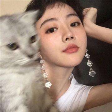 战争进行时破解版下载